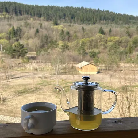 Prozori Boiky