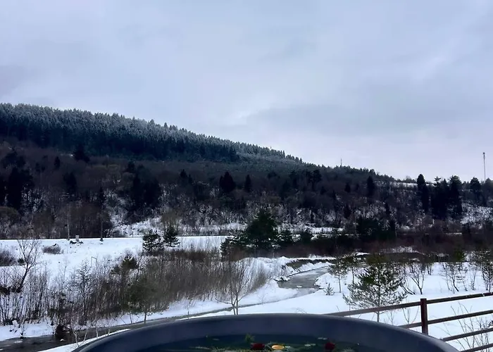 Prozori Boiky *